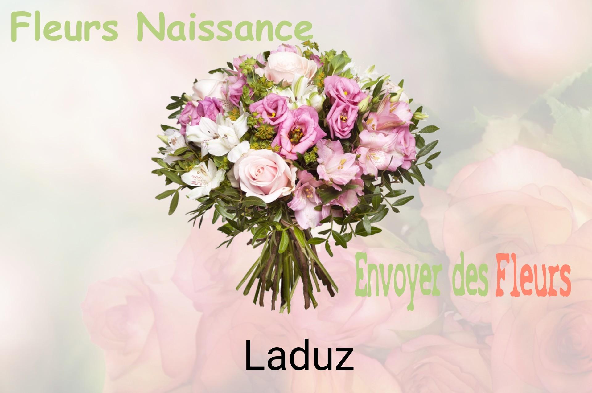 Bouquet de fleurs de naissance livré à Laduz